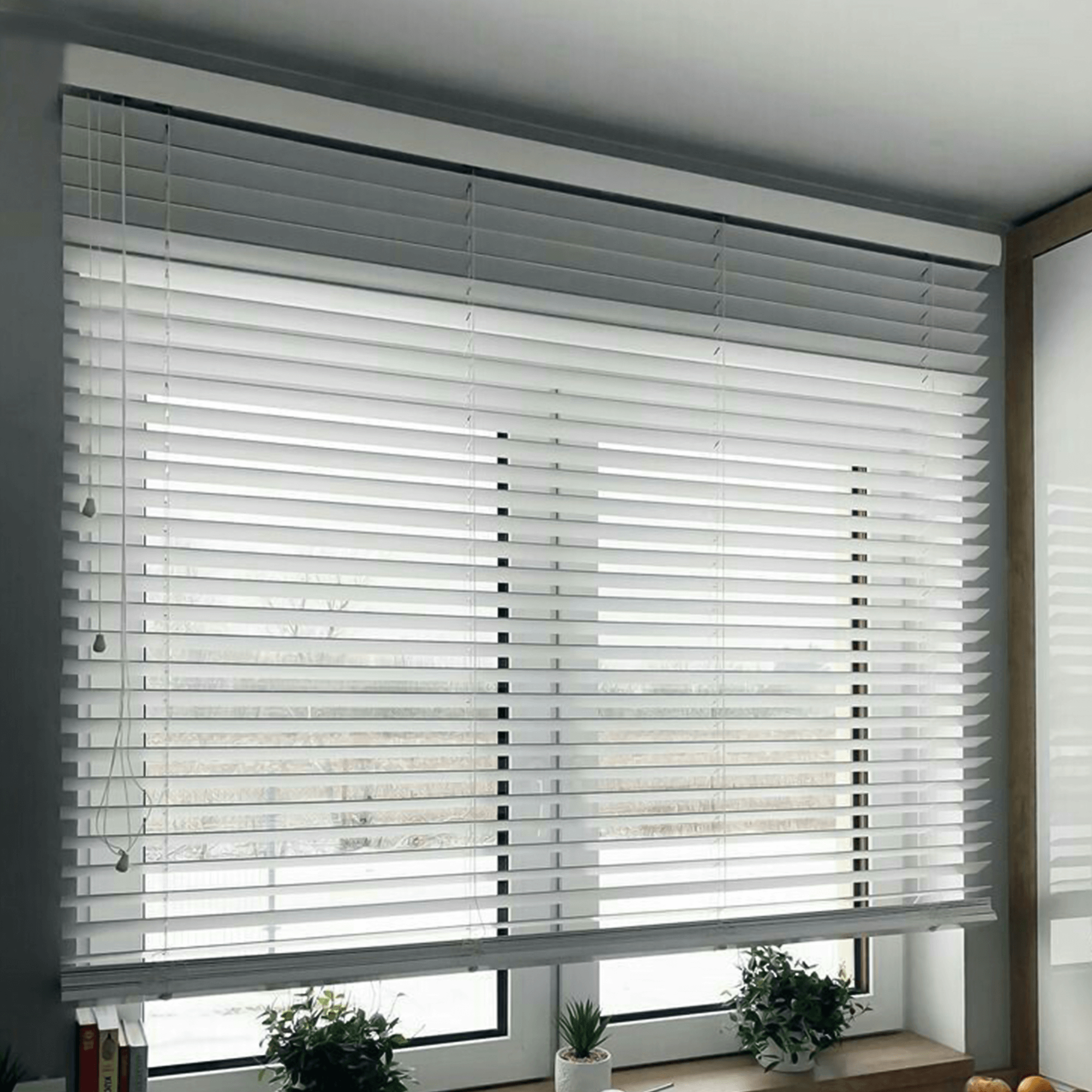 Venetian Blinds